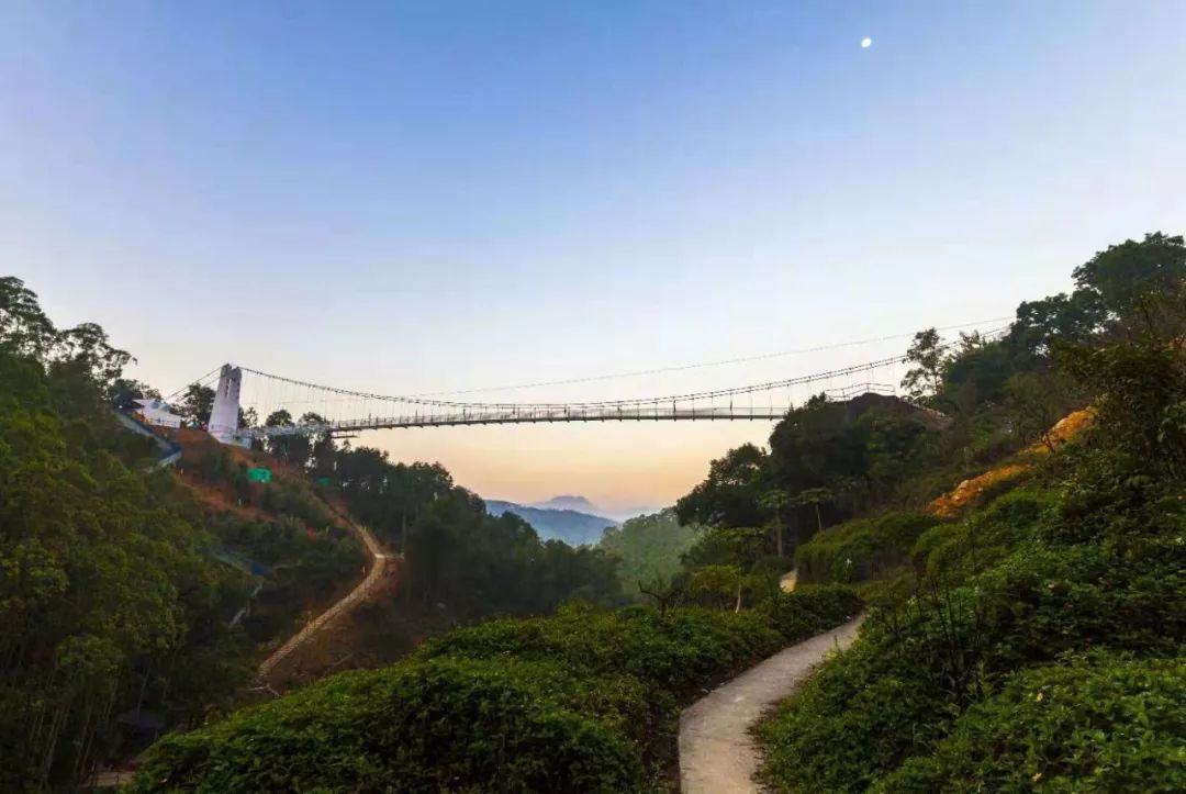 长泰旅游(长泰十里蓝山景区门票多少钱)