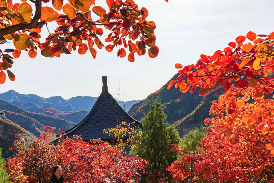 北京香山一日游(北京香山一日游旅行社)