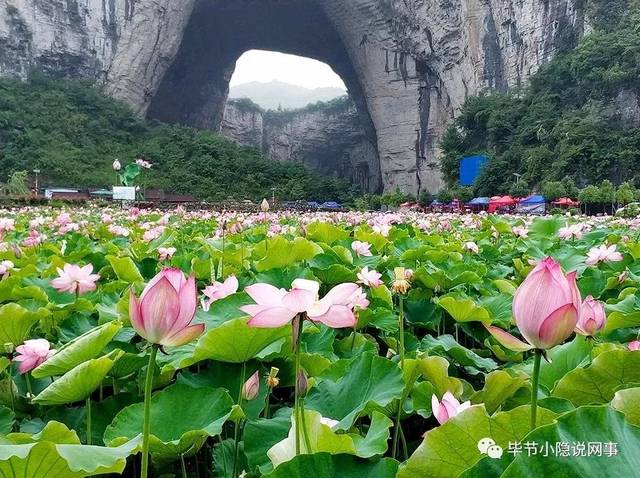 毕节旅游(毕节旅游自由行攻略)