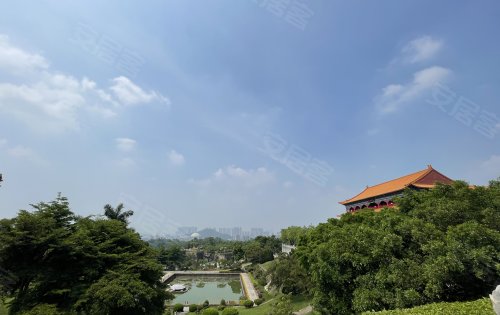 莲花山风景区(莲花山风景区在哪里)