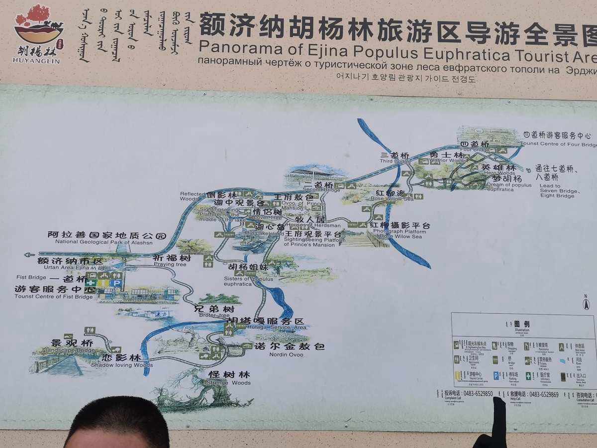 额济纳自助游(额济纳旅游网站)