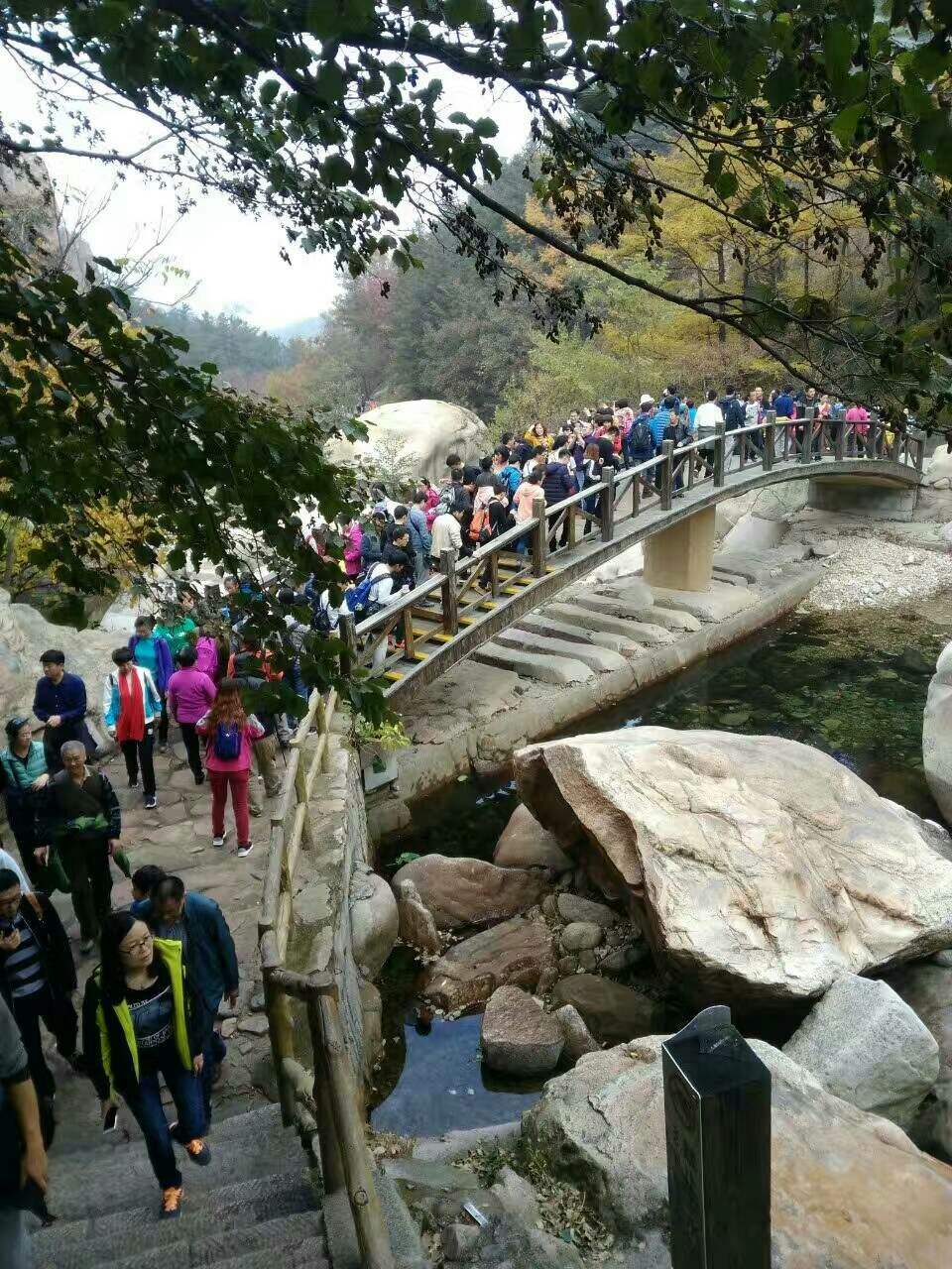 崂山一日游(崂山一日游最佳路线攻略)