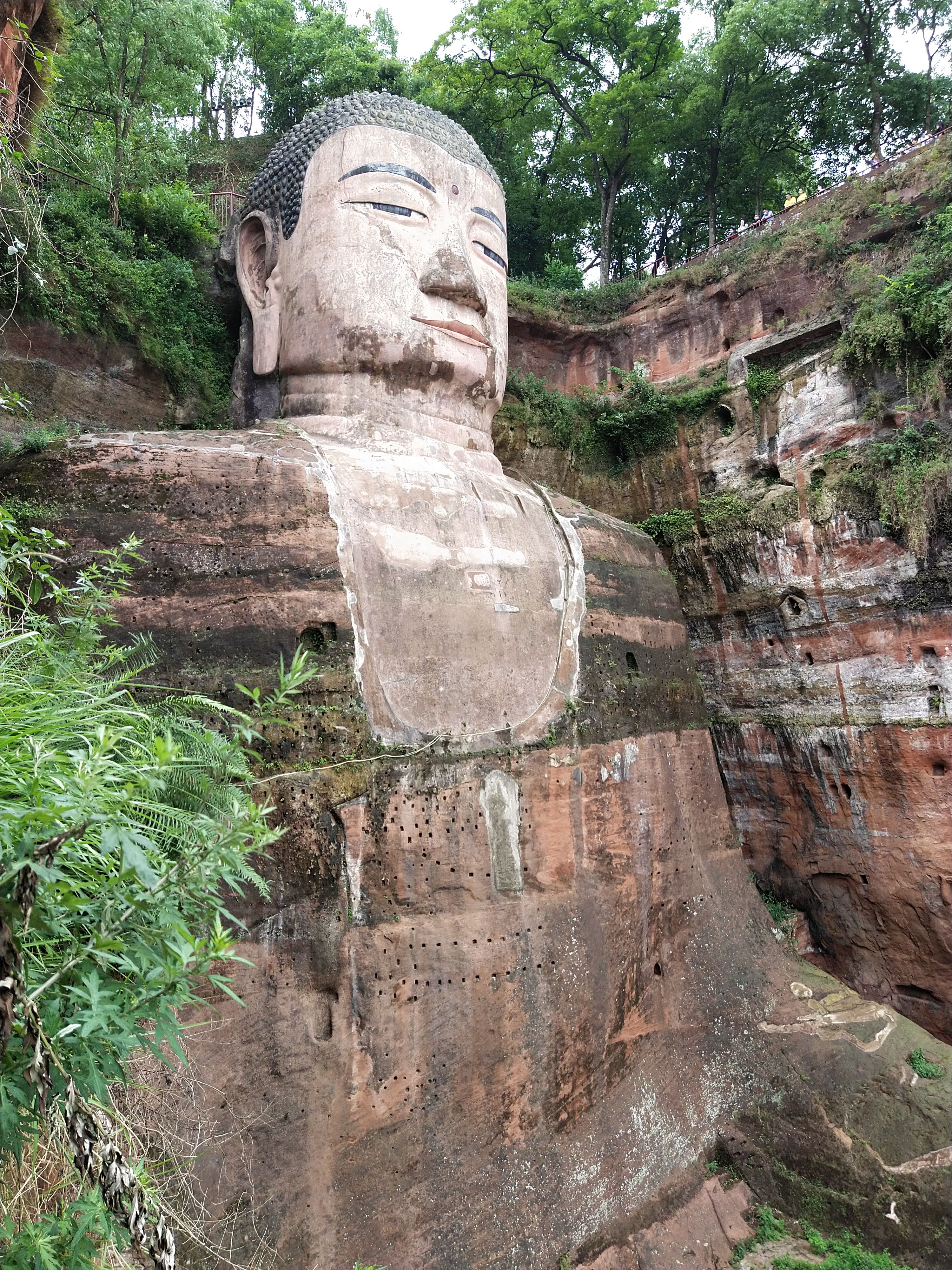 乐山大佛旅游(乐山大佛旅游累吗)