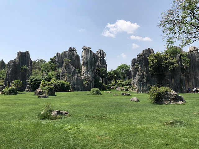 石林风景区(石林风景区旅游攻略)