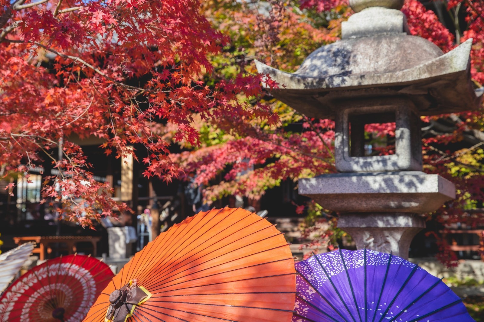 日本时间(日本时间暂停技术什么意思)