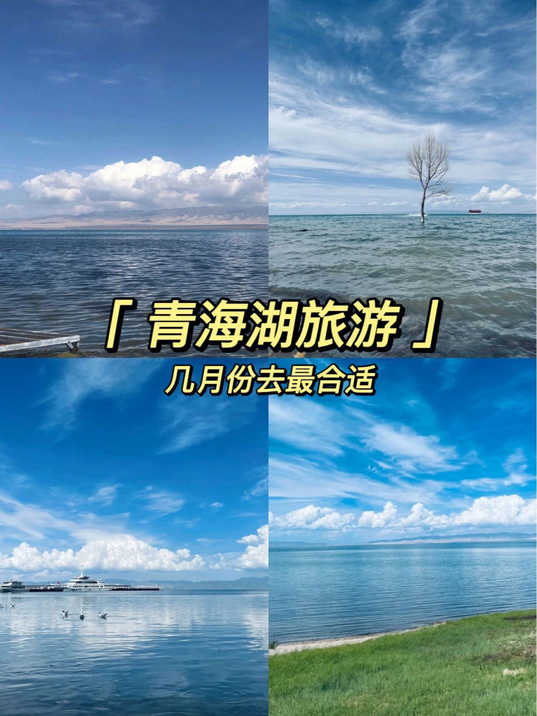 青海湖旅游攻略(青海湖旅游攻略自由行)