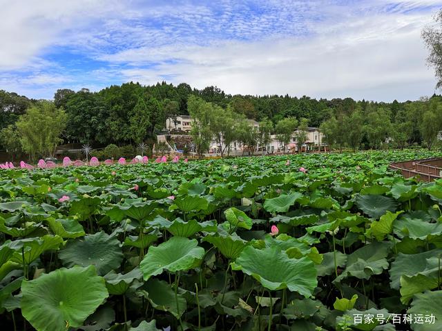 资阳景点(资阳景点旅游景点排名)