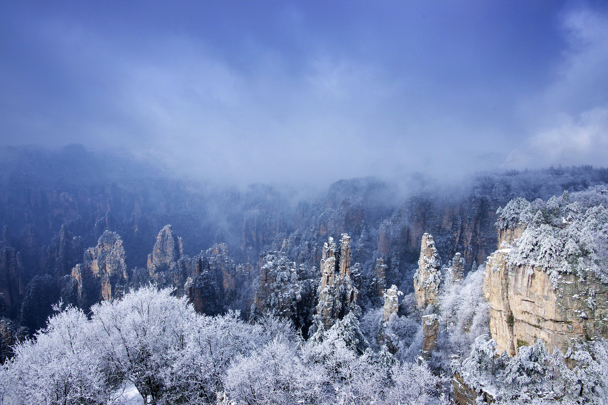 张家界风景(张家界风景区)