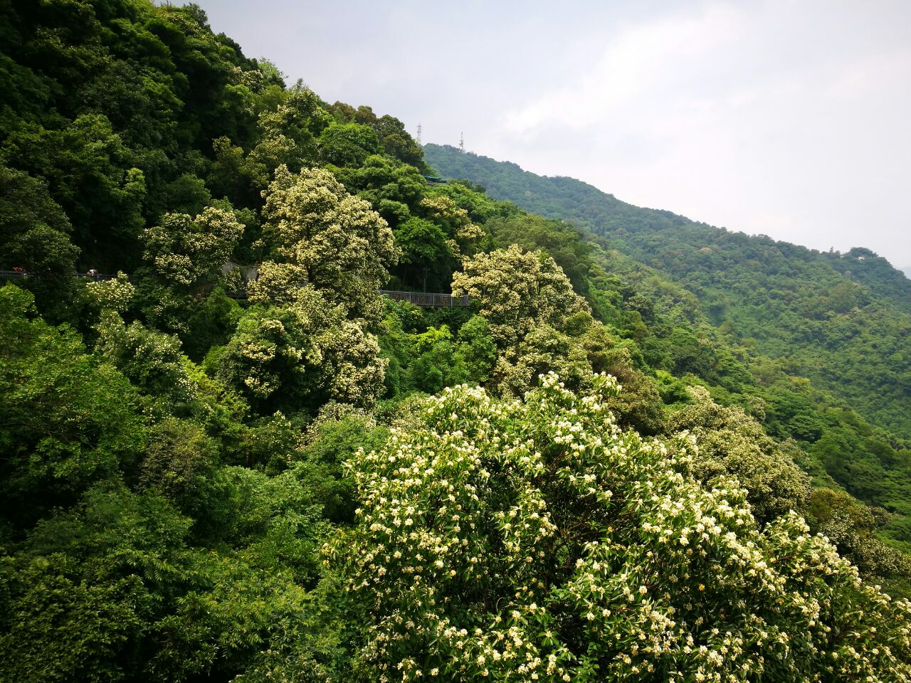 白云山旅游(白云区旅游景点)