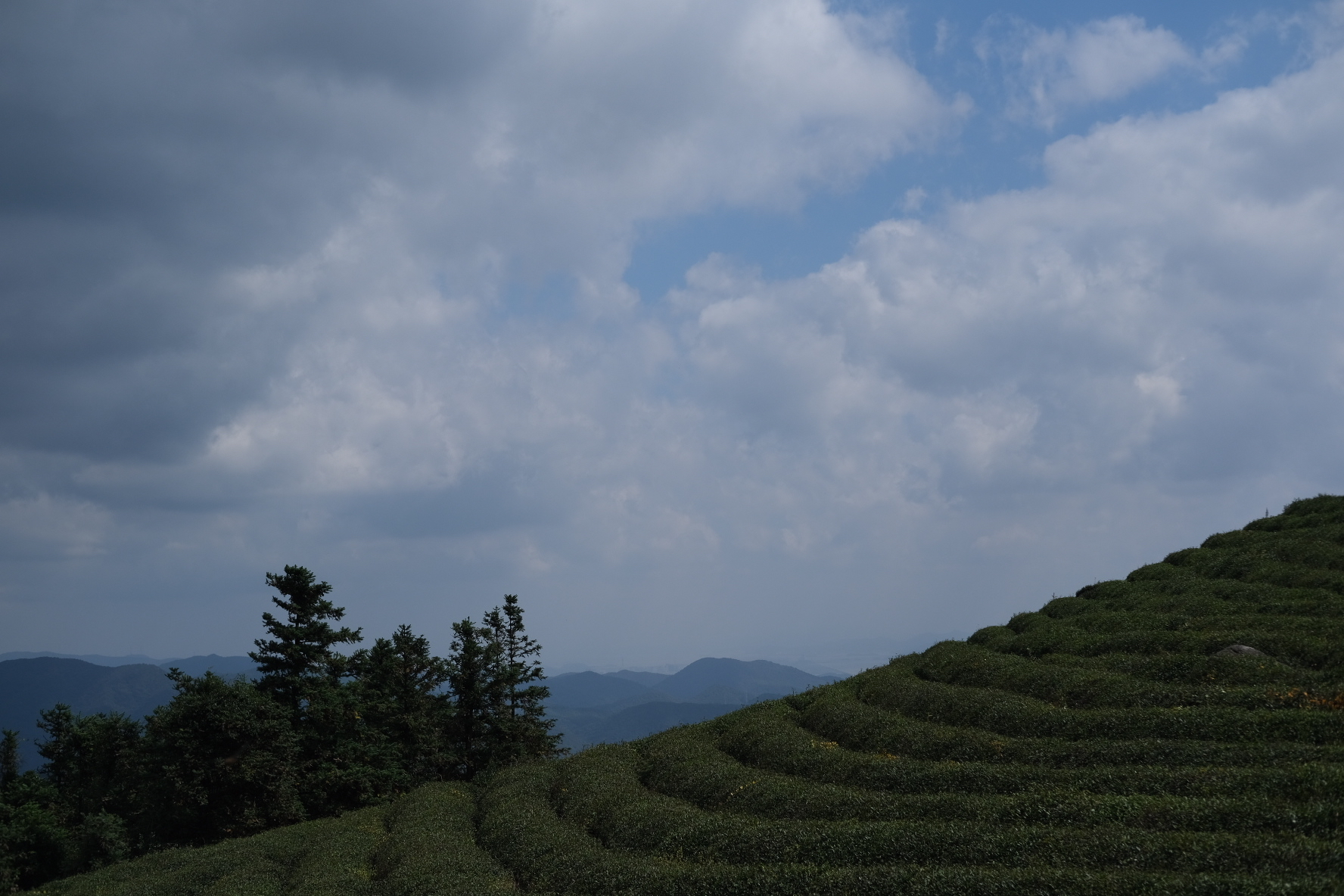 福泉山景区(福泉周边旅游景点大全)