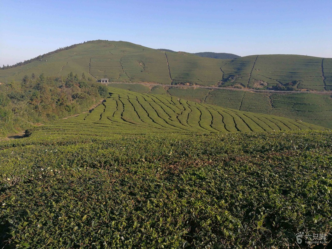 福泉山景区(福泉周边旅游景点大全)