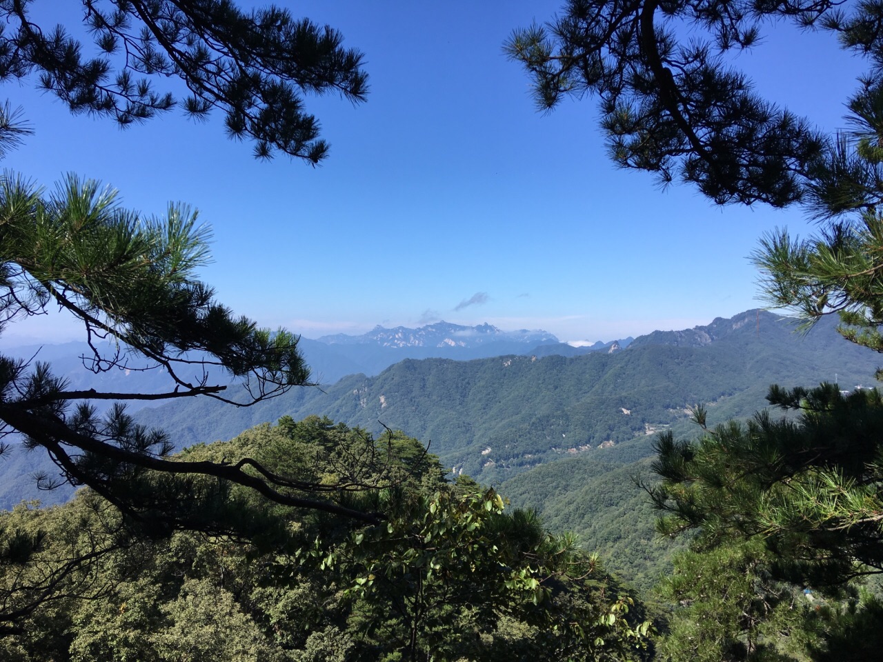 宝天曼景区(宝天曼景区好玩吗)