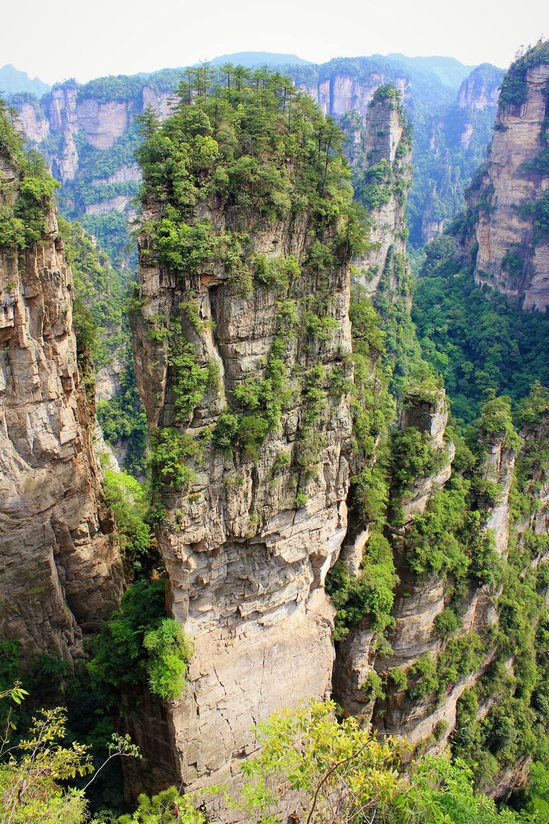 上海到张家界旅游(上海到张家界旅游8天费用)