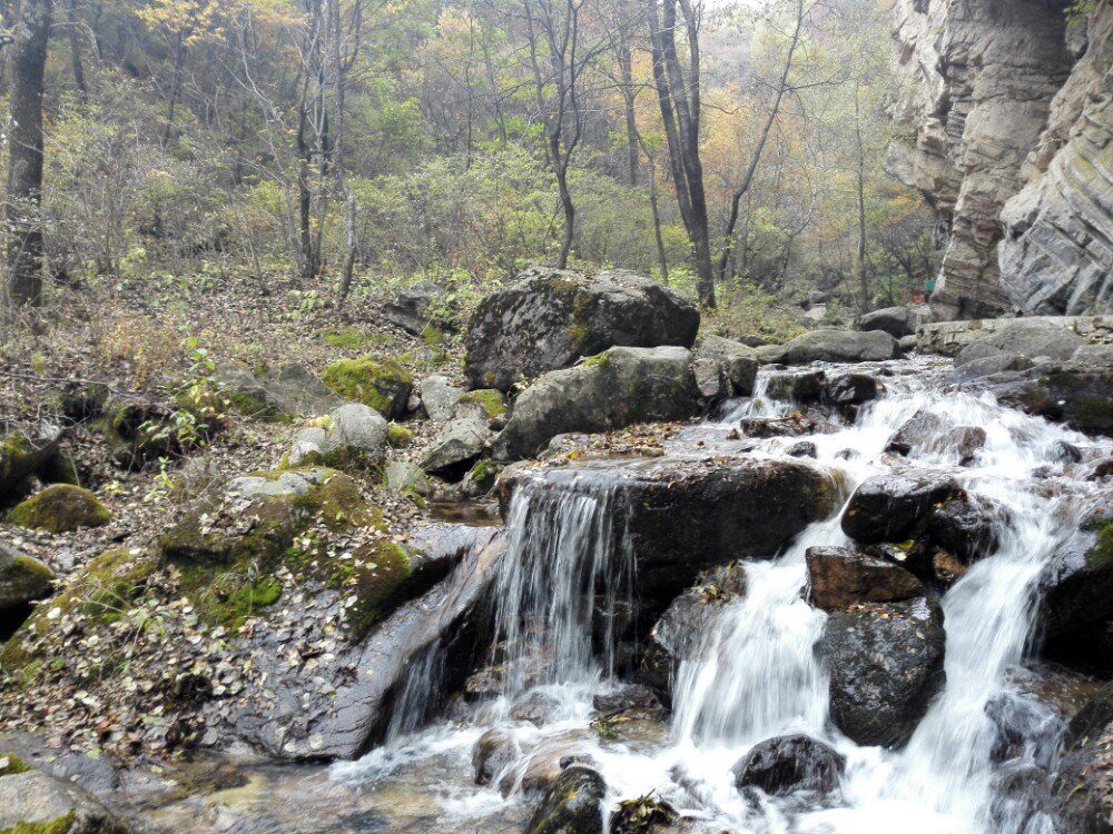 驼梁风景区(驼梁风景区照片)