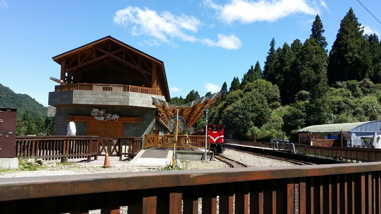 阿里山旅游攻略(阿里山旅游攻略必玩的景点)