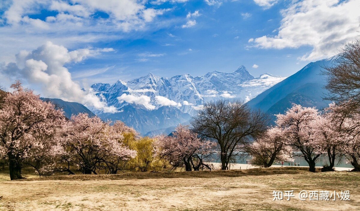 林芝旅游攻略(林芝旅游景点大全)