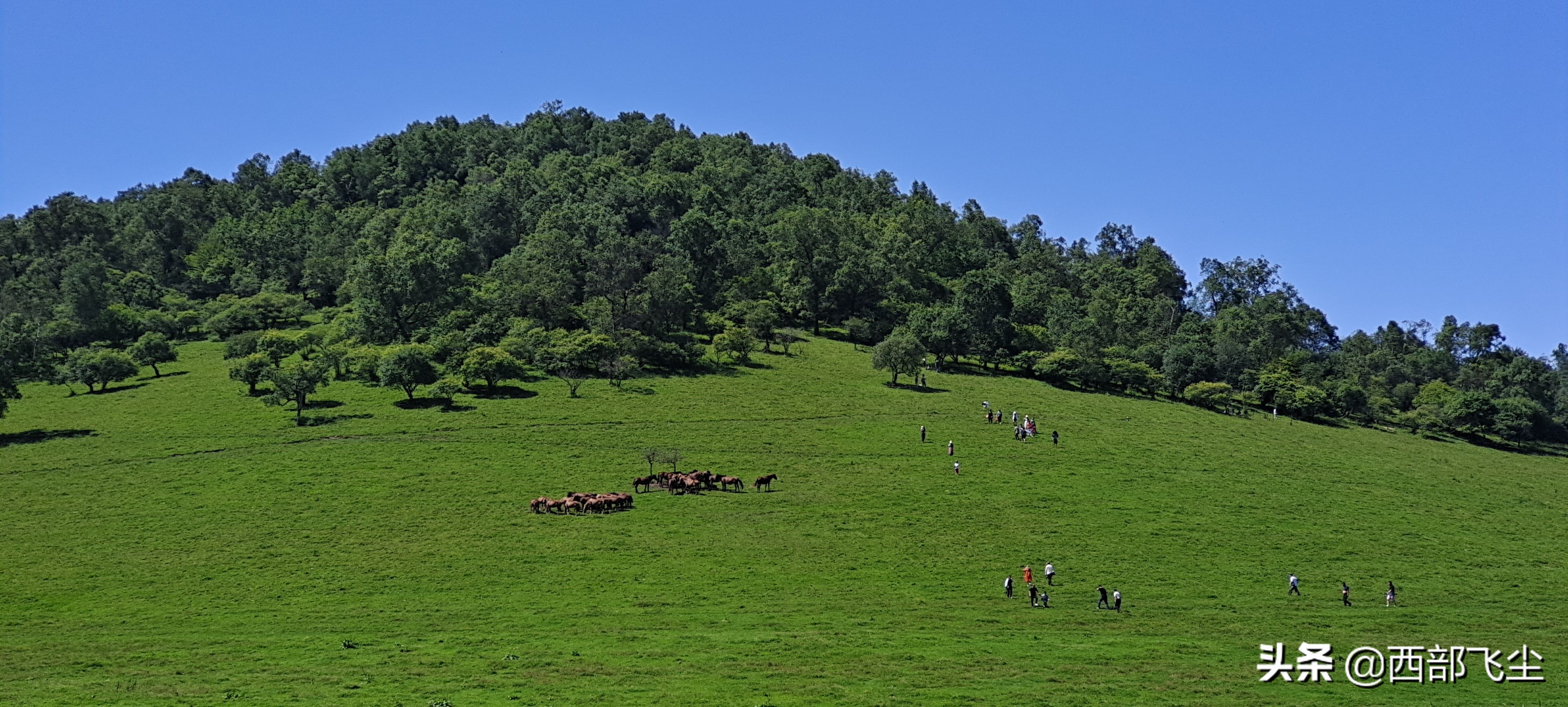 关山景区(辉县关山景区)