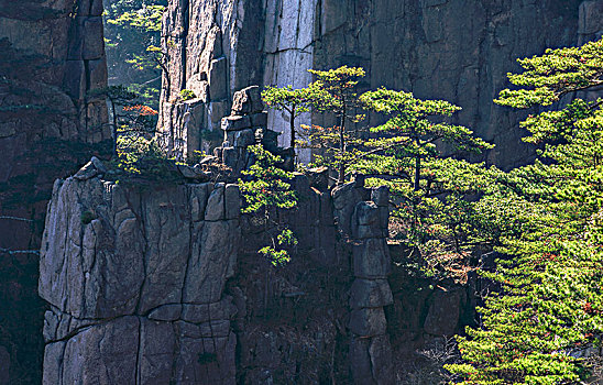 黄山风景图片(黄山风景图片高清 最美)