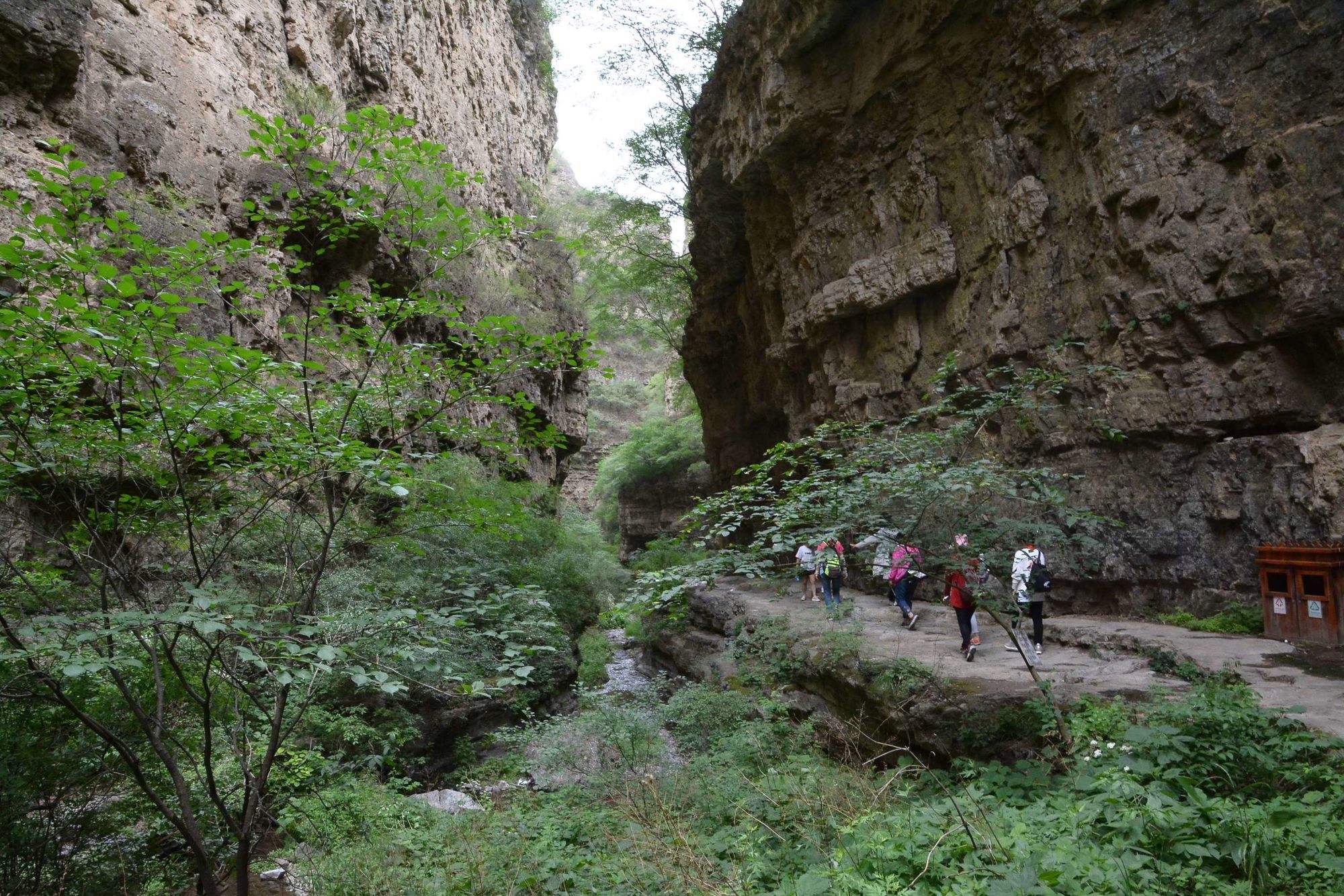 龙门峡谷景区(龙门峡谷门票价格)