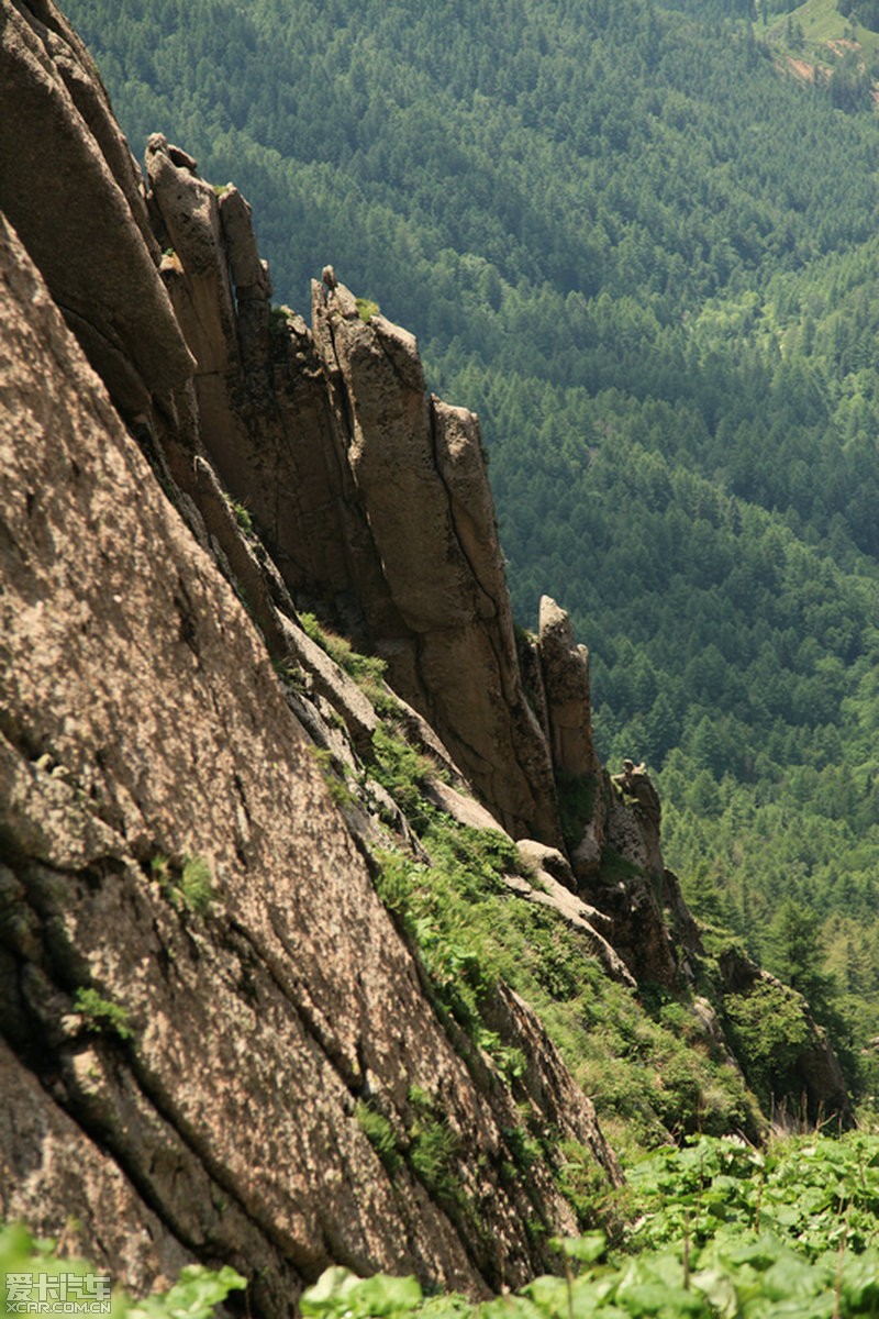 芦芽山风景区(芦芽山风景区为什么关闭)