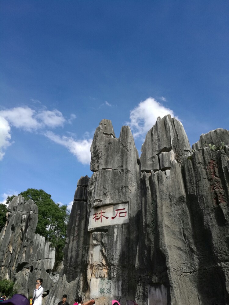 石林旅游(石林旅游景点)