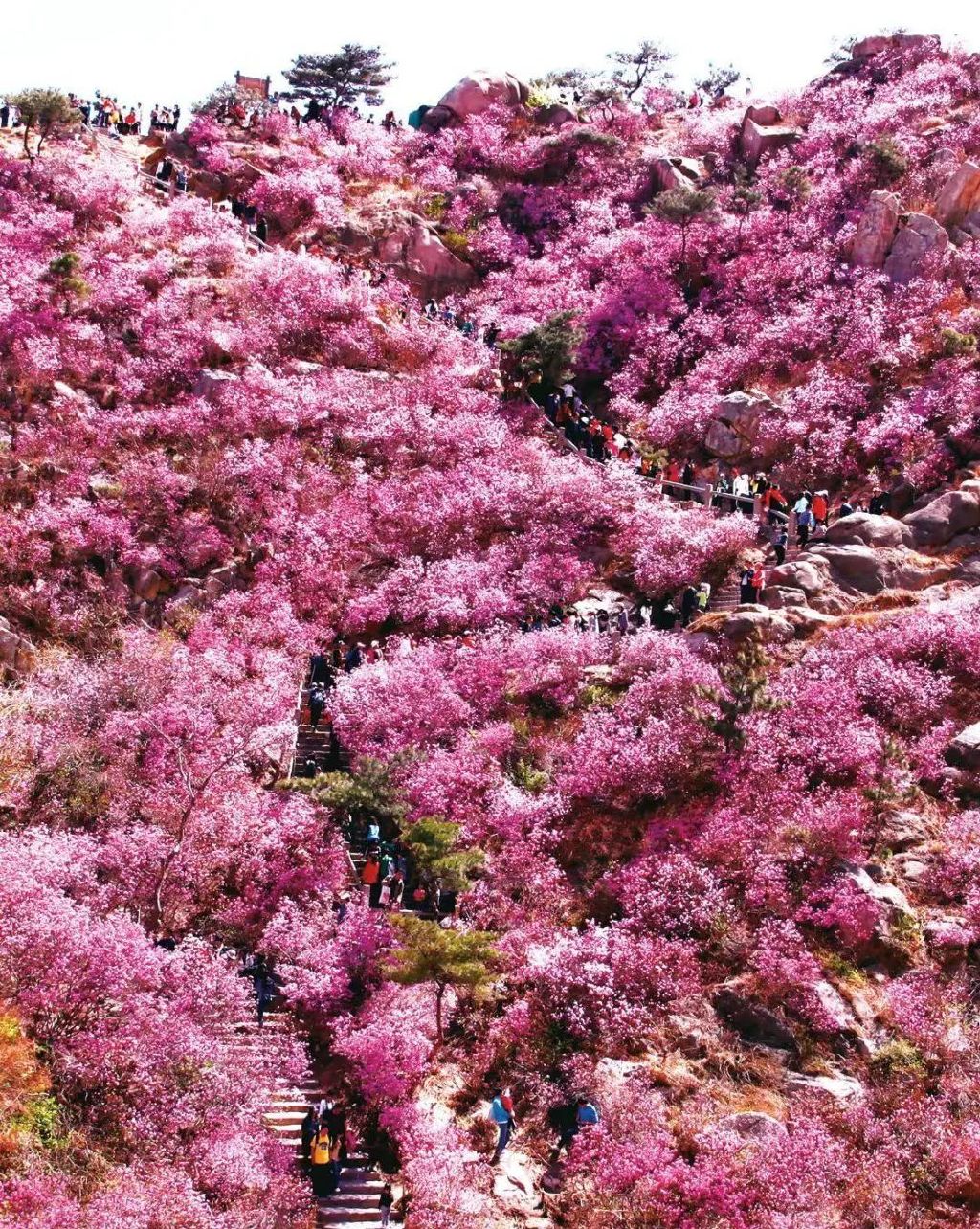 大珠山门票(大珠山门票预约)