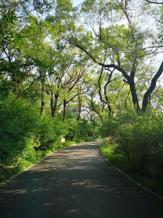 龙首山攻略(龙首山旅游攻略)