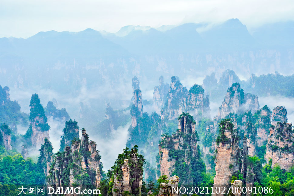 张家界旅游景点(张家界旅游景点天气预报15天查询)