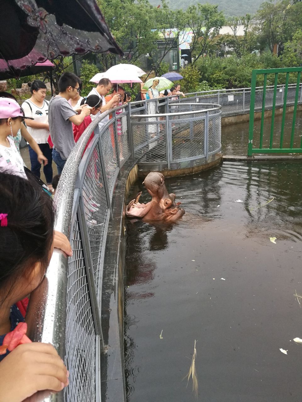 无锡动物园门票(无锡动物园门票预约)