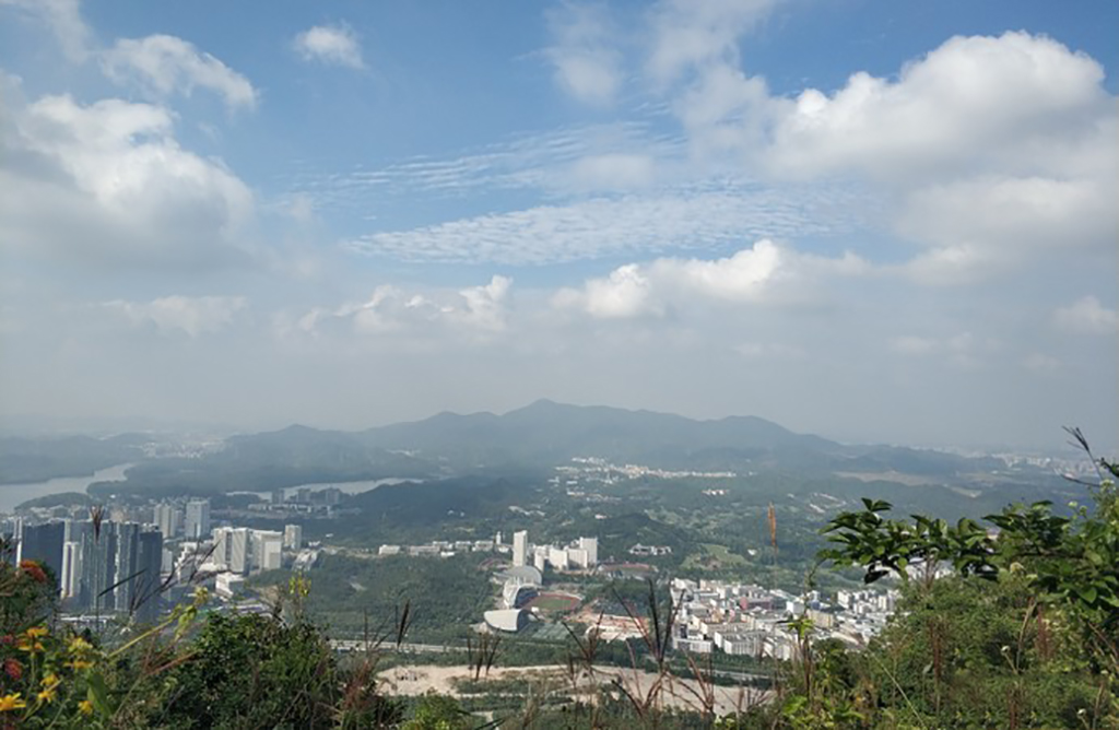 深圳塘朗山郊野公园(深圳塘朗山郊野公园图片)