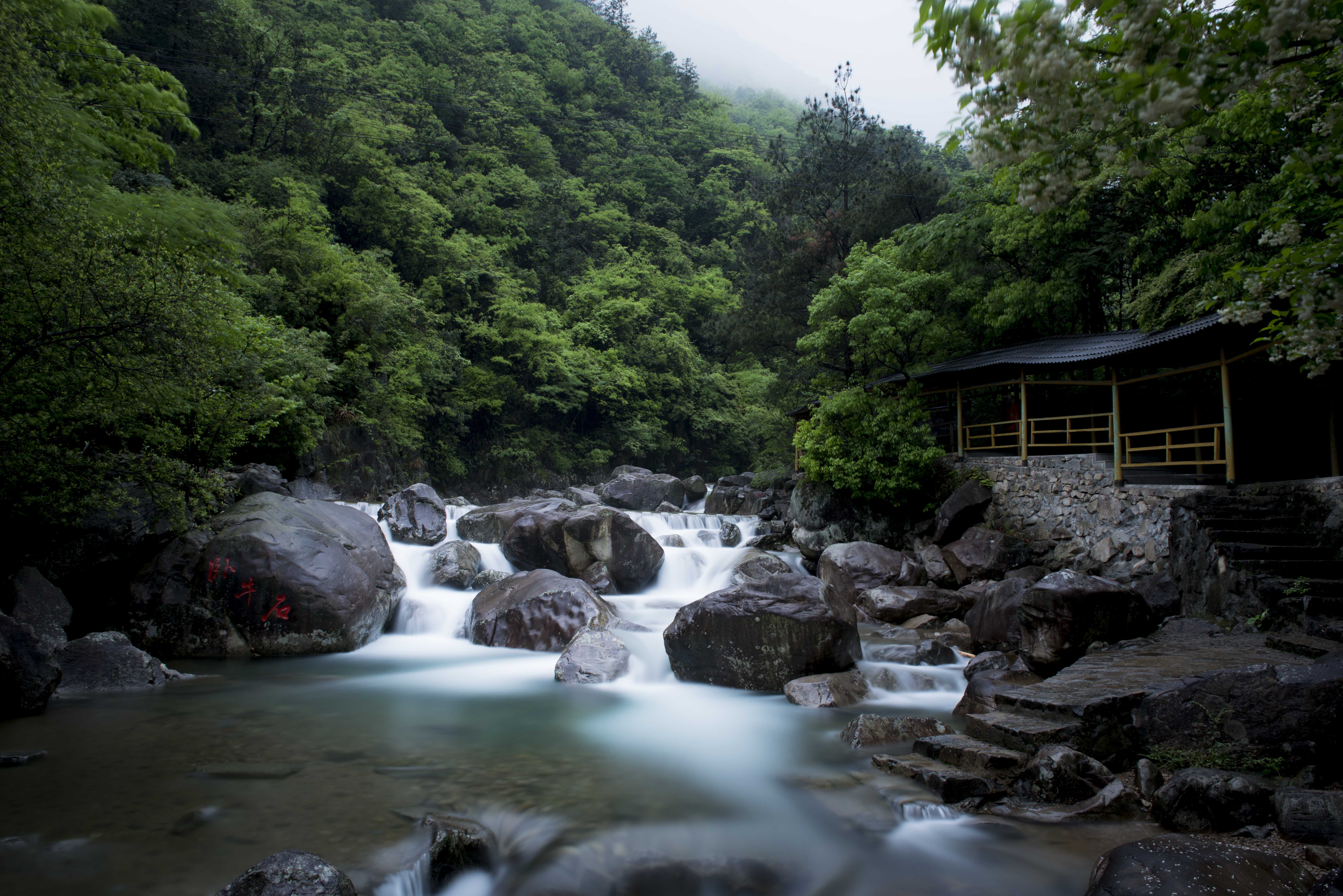 天目山旅游攻略(天目山旅游攻略自驾游)