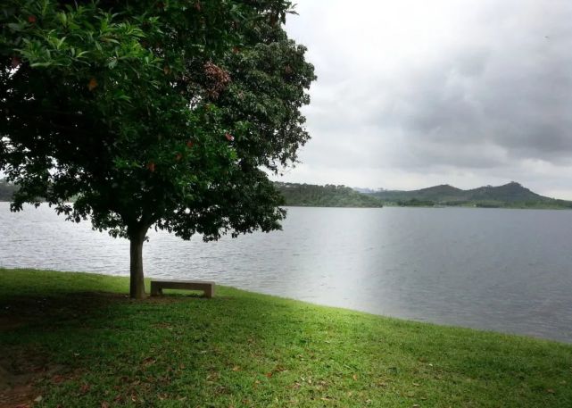 松湖烟雨(松湖烟雨愁)