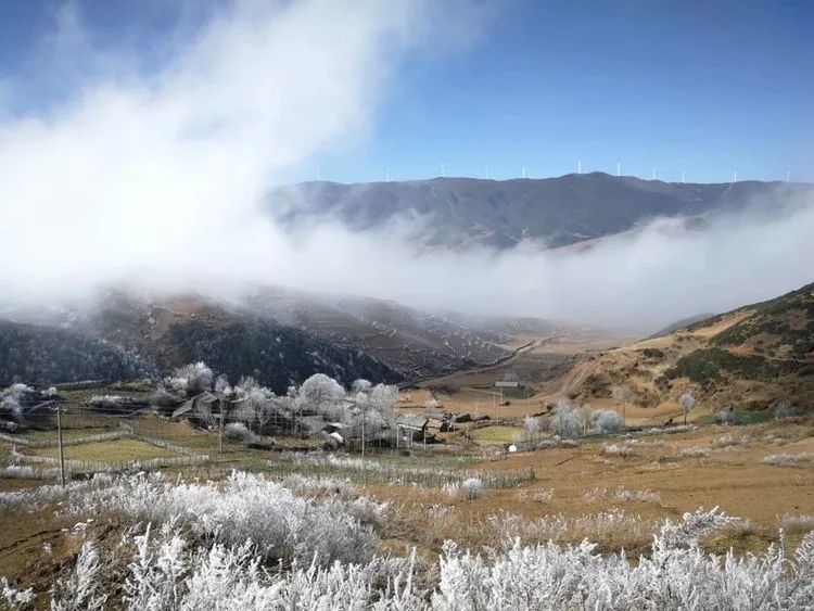 凉山旅游(四菇凉山旅游)