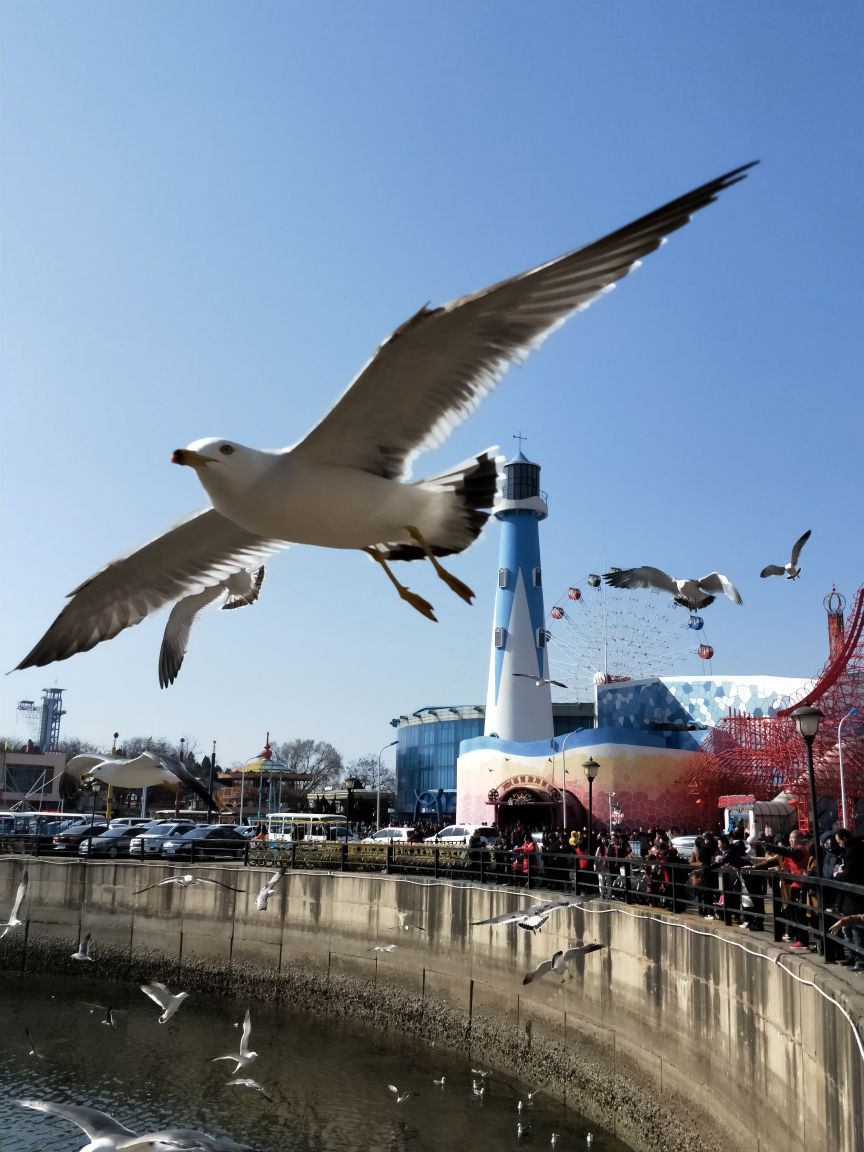 大连旅游景点介绍(大连旅游景点介绍和图片)