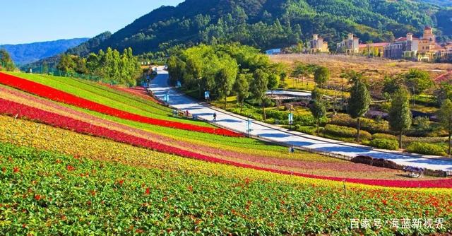 十里蓝山花海(十里蓝山花海门票多少)