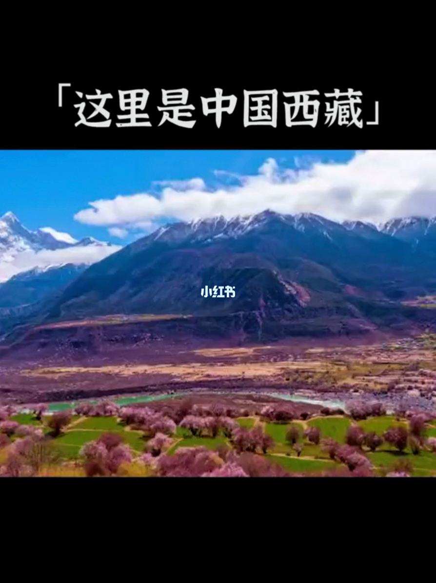 青藏旅游(青藏旅游资源有哪些特色)