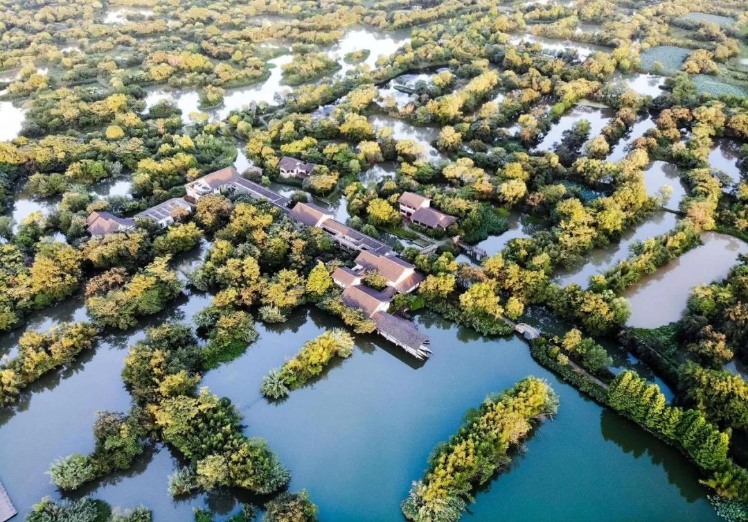 西溪湿地旅游(西溪湿地旅游攻略半天)