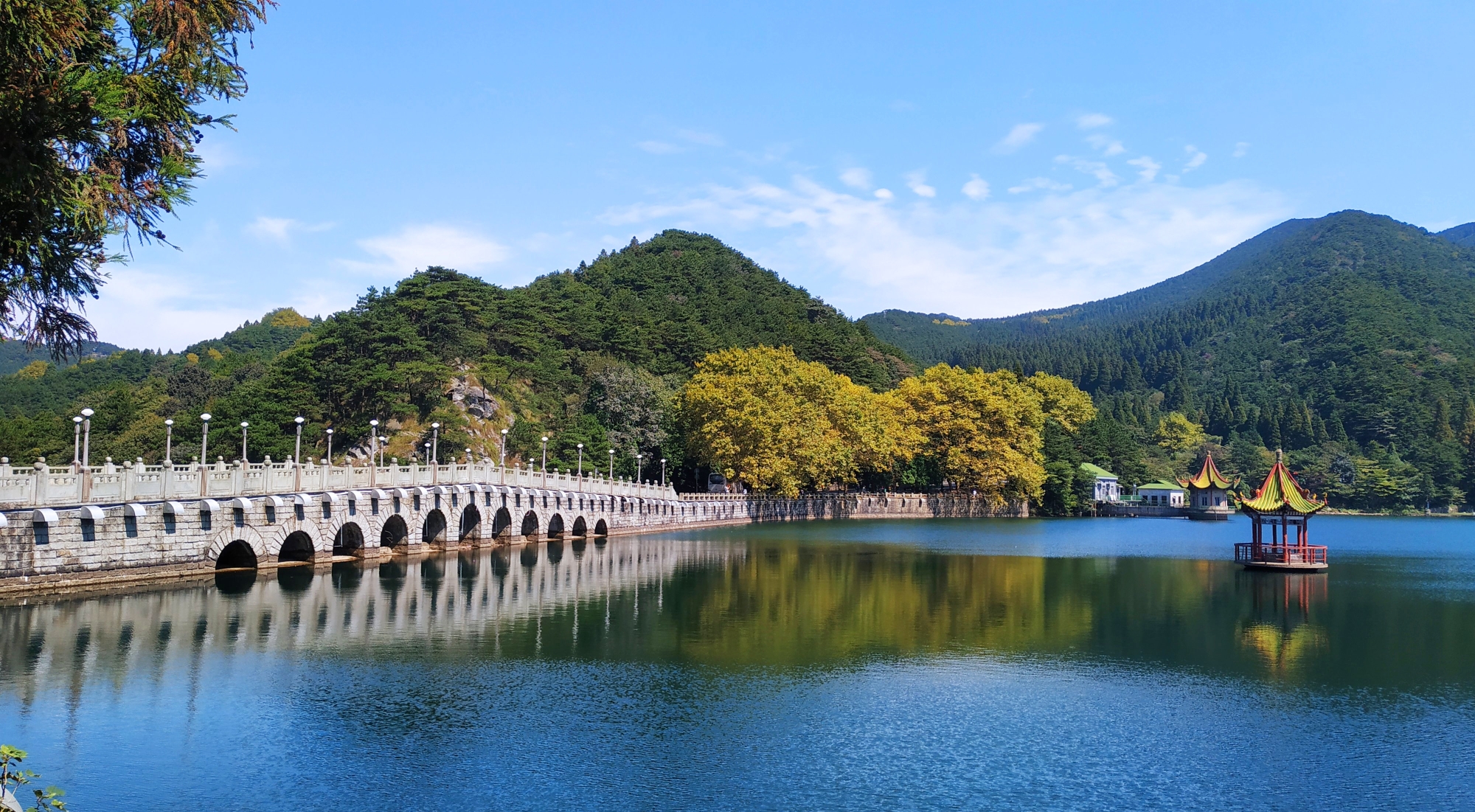 庐山跟团游(庐山跟团一日游)