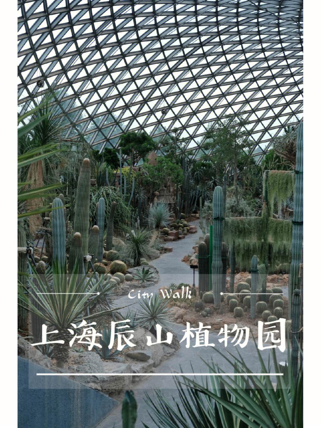 上海辰山植物园门票(上海辰山植物园门票多少钱)
