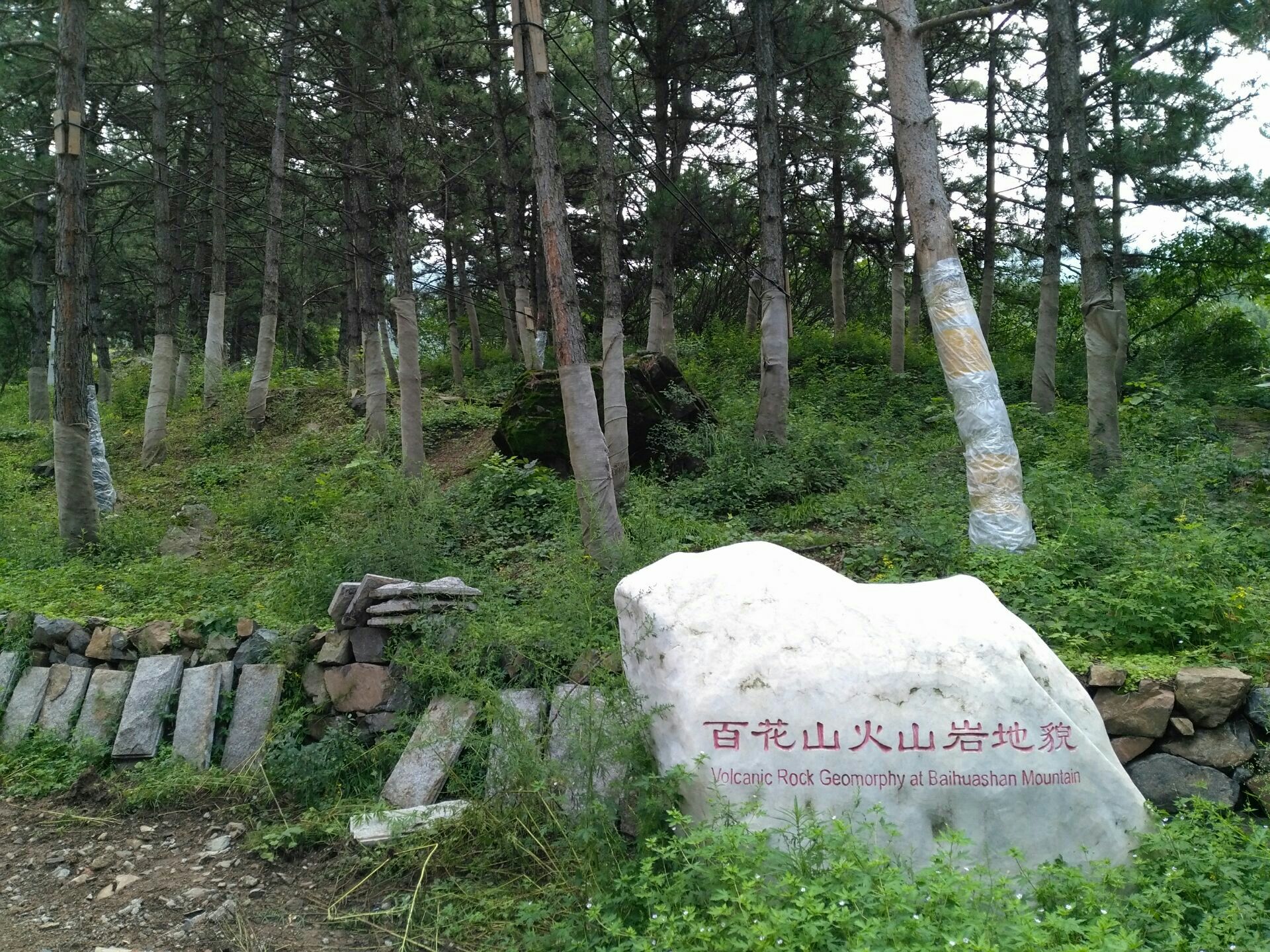 百花山自然风景区(百花山自然风景区门票)