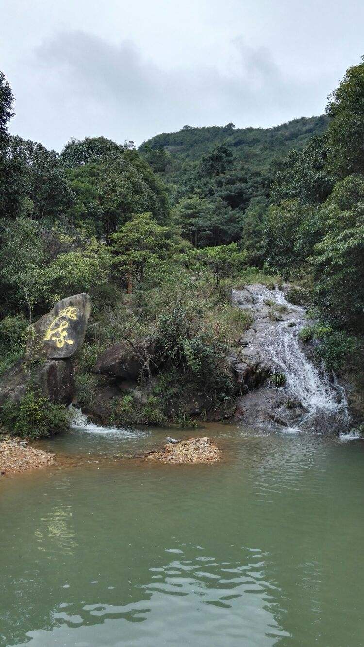 丰顺旅游(丰顺旅游景点哪里好玩)