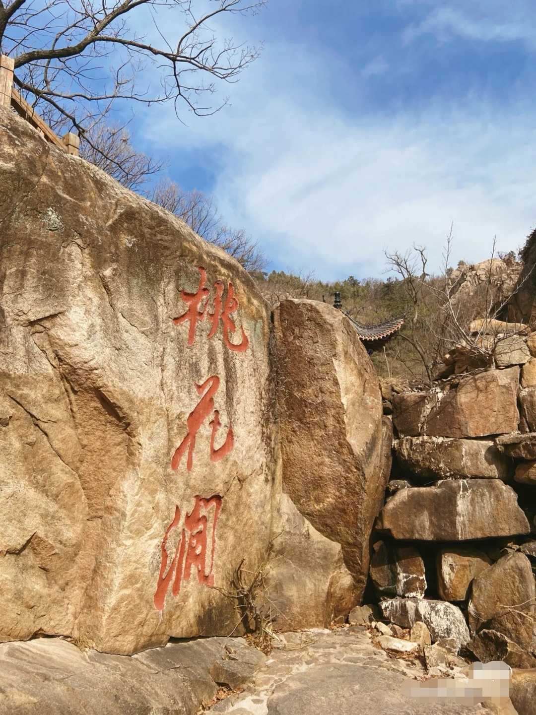 连云港旅游在线(连云港旅游在线咨询电话)