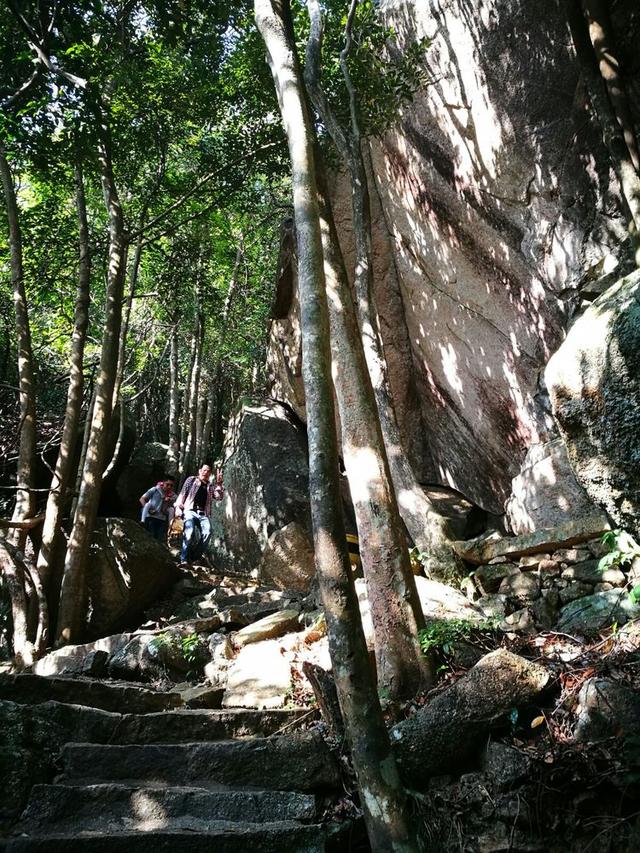 龙岗园山风景区(龙岗园山风景区在哪里)