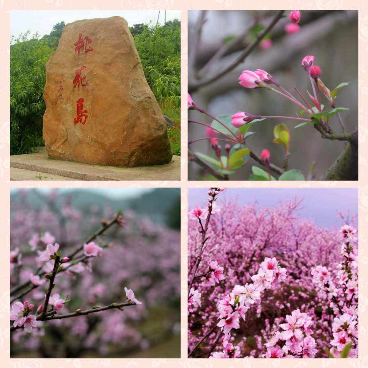 桃花岛风景区(桃花源旅游景点)