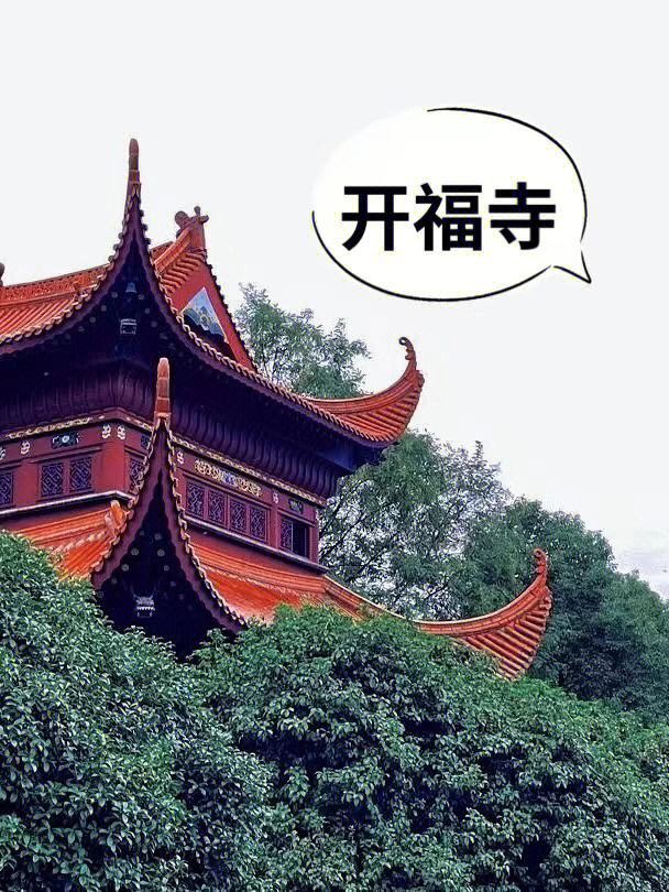 长沙开福寺(长沙开福寺十八籽)