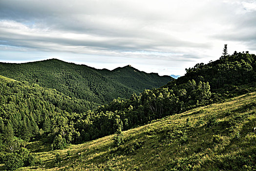 驼梁风景区(驼梁风景区现在开放了吗)