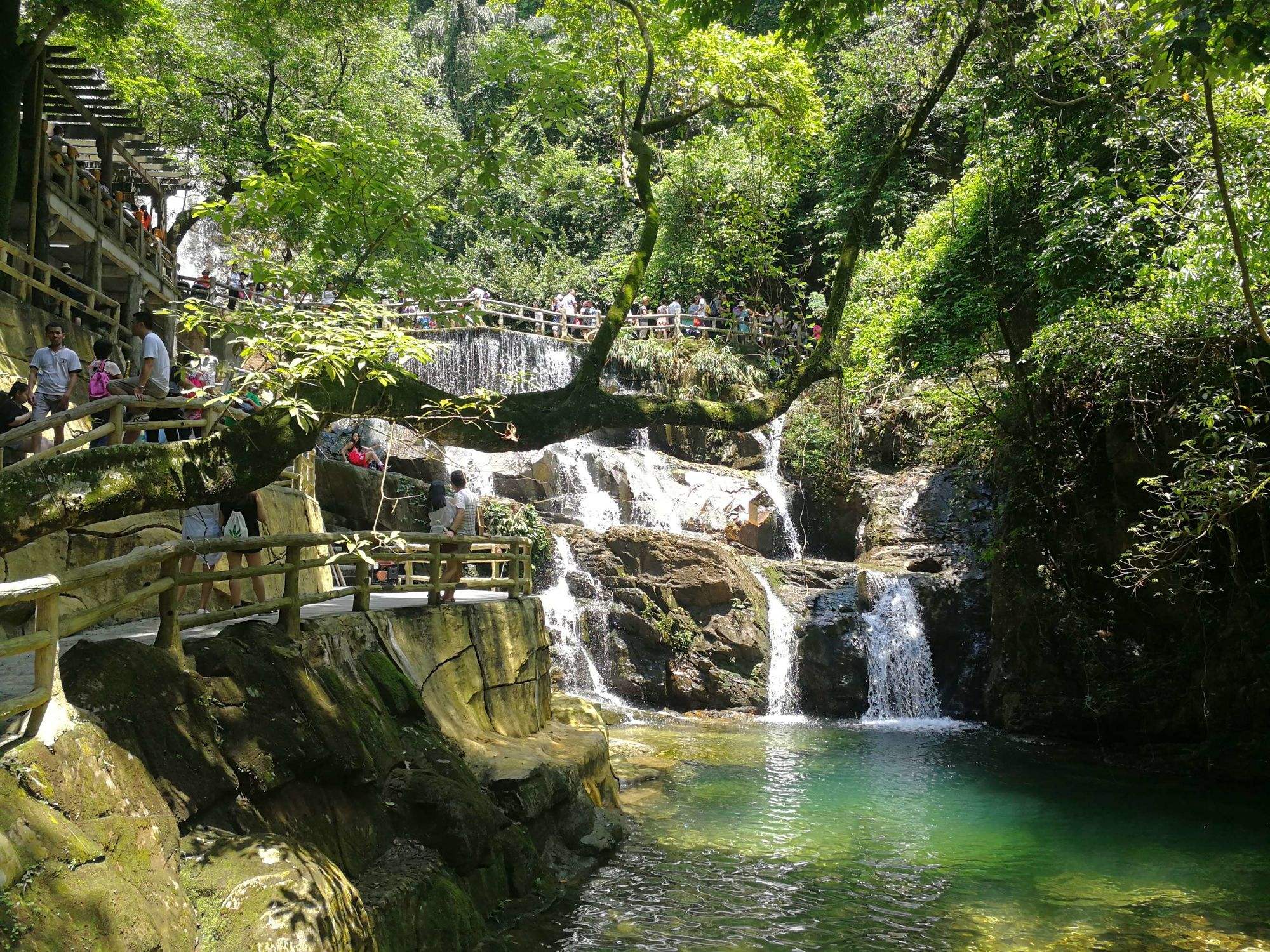 肇庆鼎湖山住宿攻略(肇庆鼎湖山门票优惠政策)