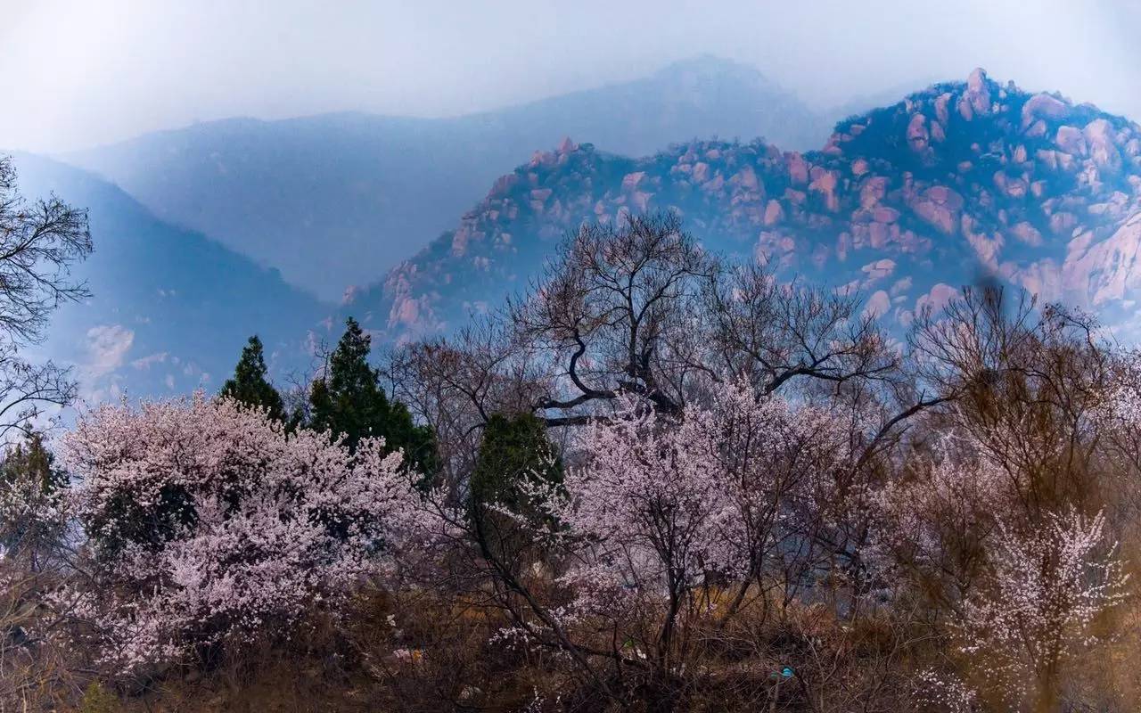 北京后花园风景区(北京后花园风景区临时闭园)