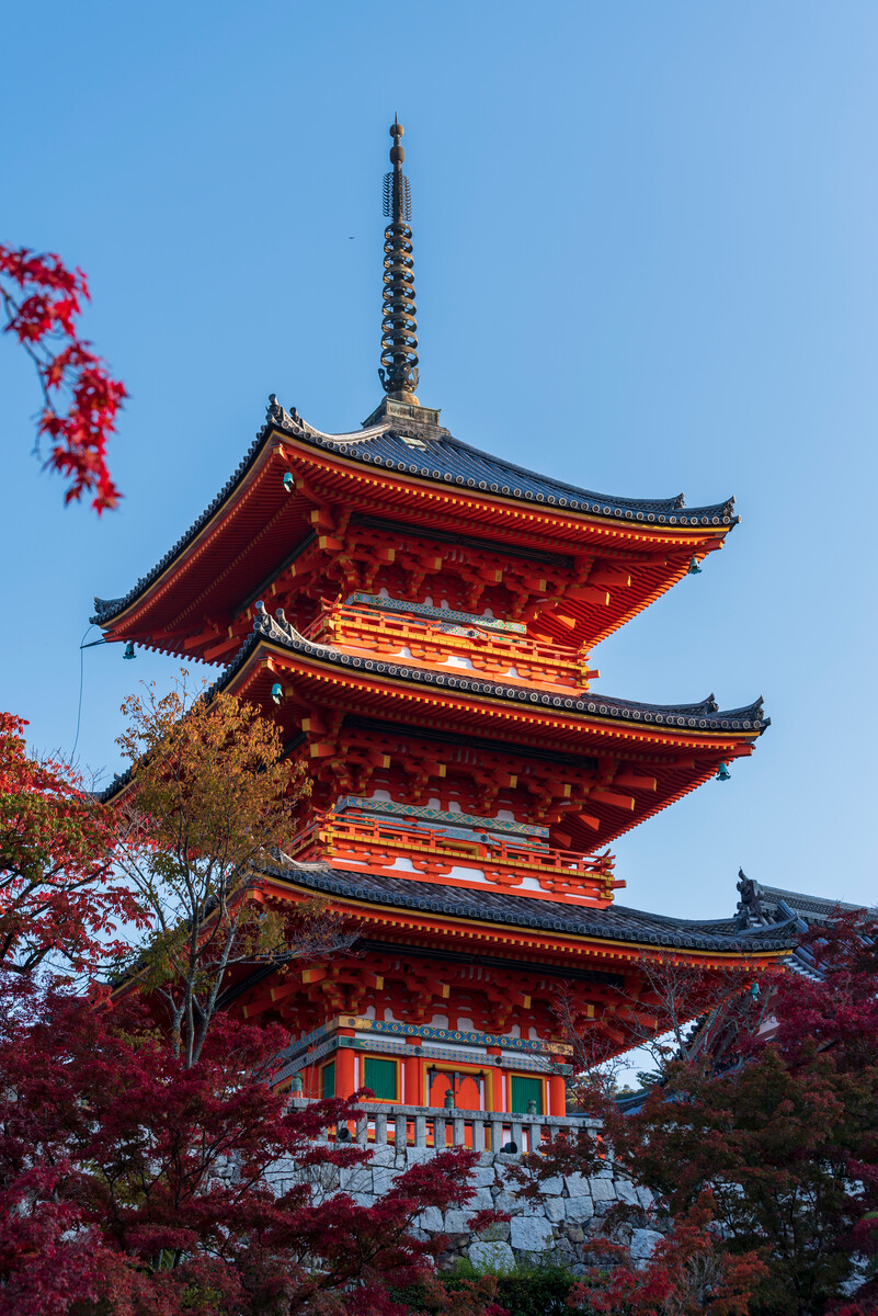 京都清水寺(京都清水寺樱花)