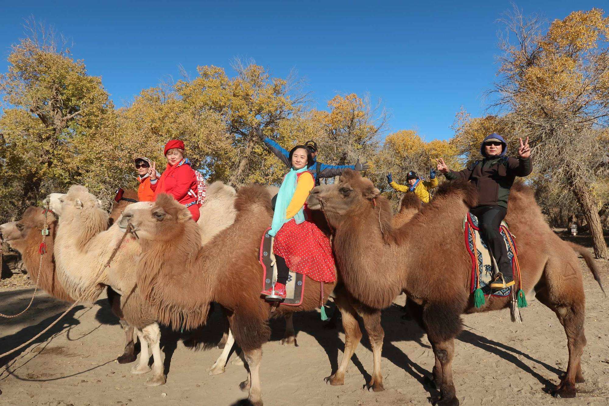 阿拉善旅游(阿拉善旅游攻略必玩的景点)